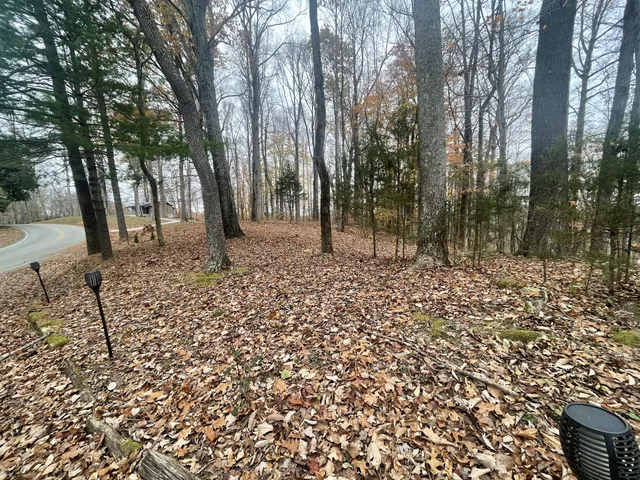 $579,900 | 2029 Holly Creek Road, Celina, TN 38551