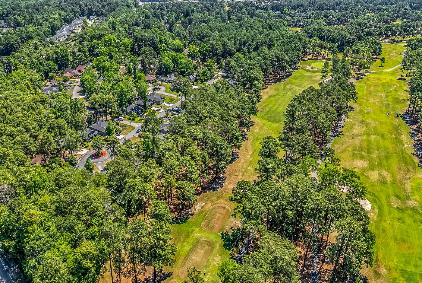130 Berry Tree Lane Conway, SC 29526 - Photo 52 of 60