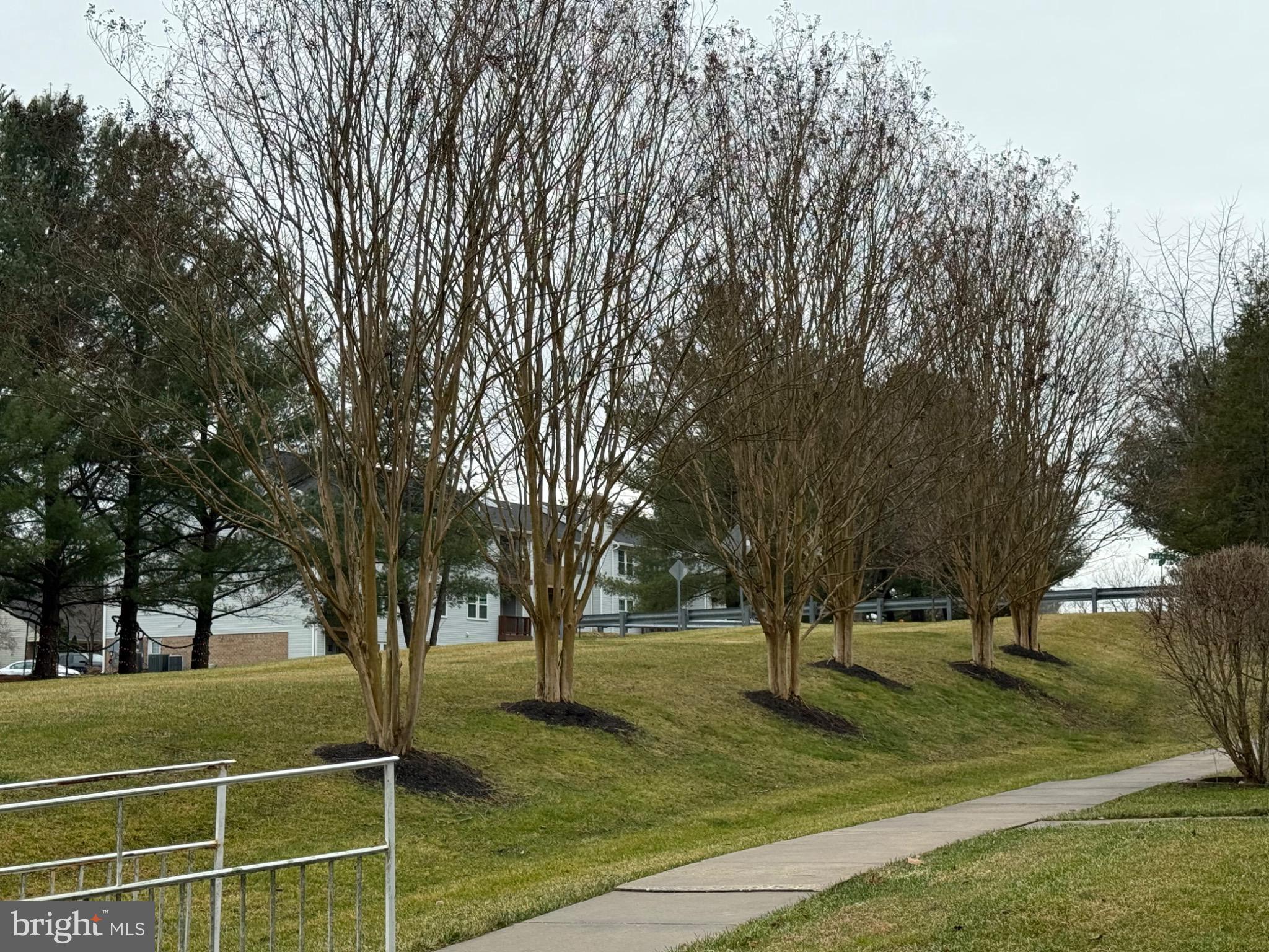 38 Jumpers Circle, Unit 253 Nottingham, MD 21236 - Photo 28 of 31 a view of a trees in a yard