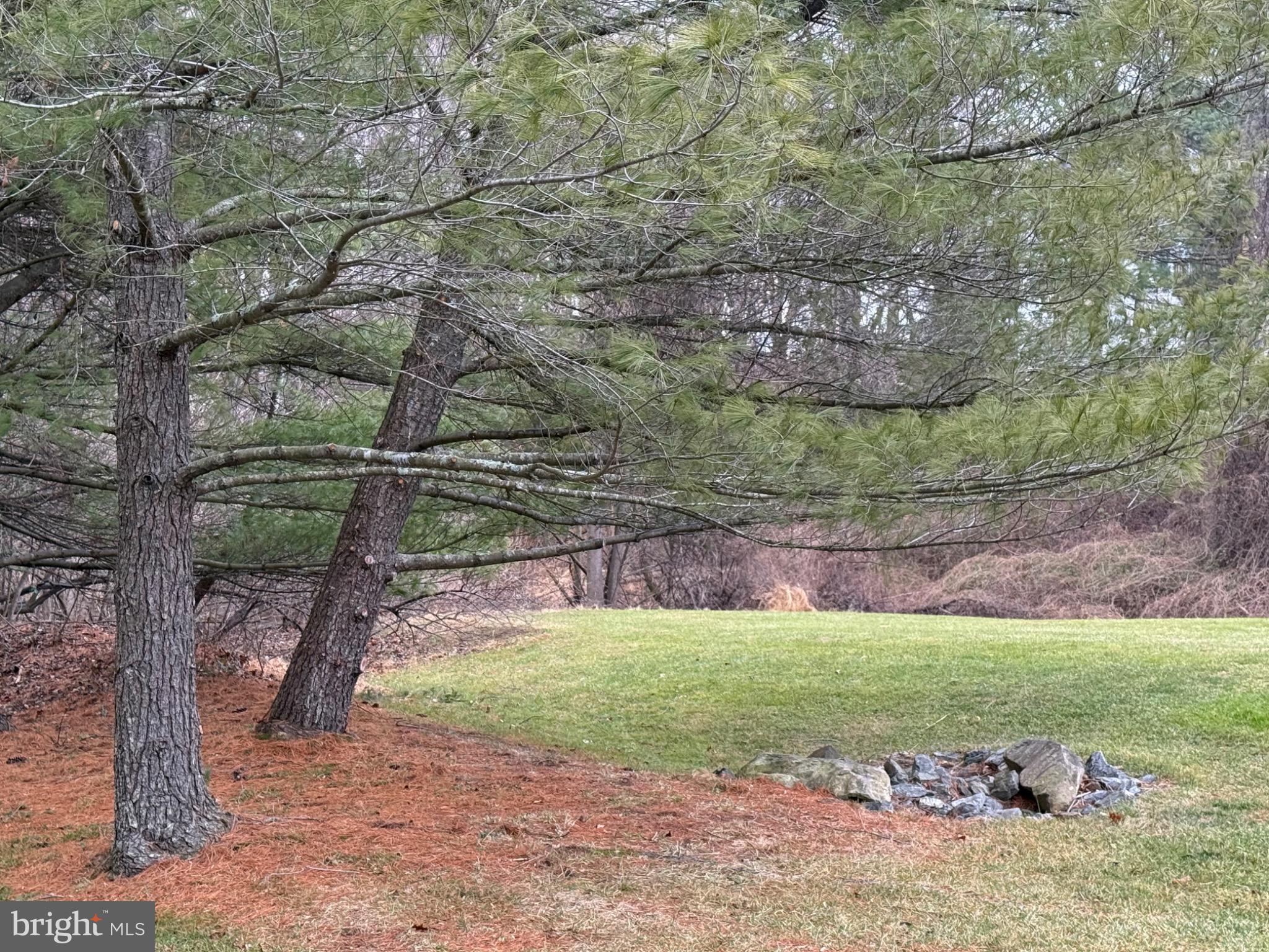 38 Jumpers Circle, Unit 253 Nottingham, MD 21236 - Photo 29 of 31 a view of a yard