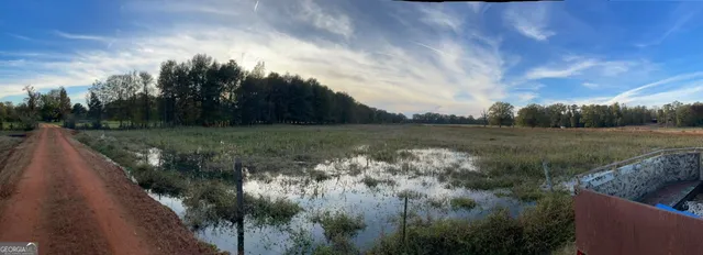 a view of a yard with a fountain