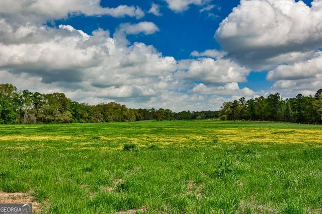 a view of a lake with lawn chairs and umbrellas