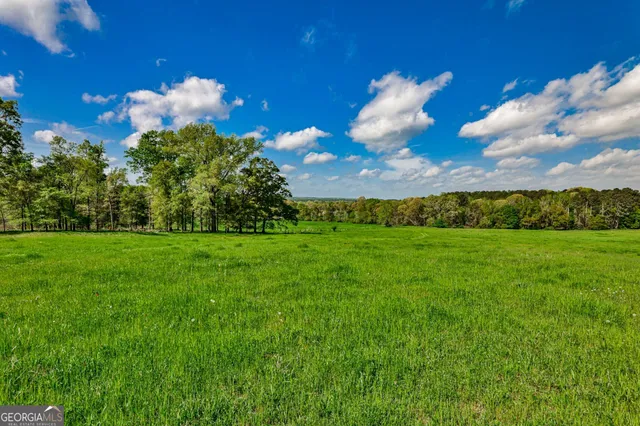 a view of a tree with a big yard
