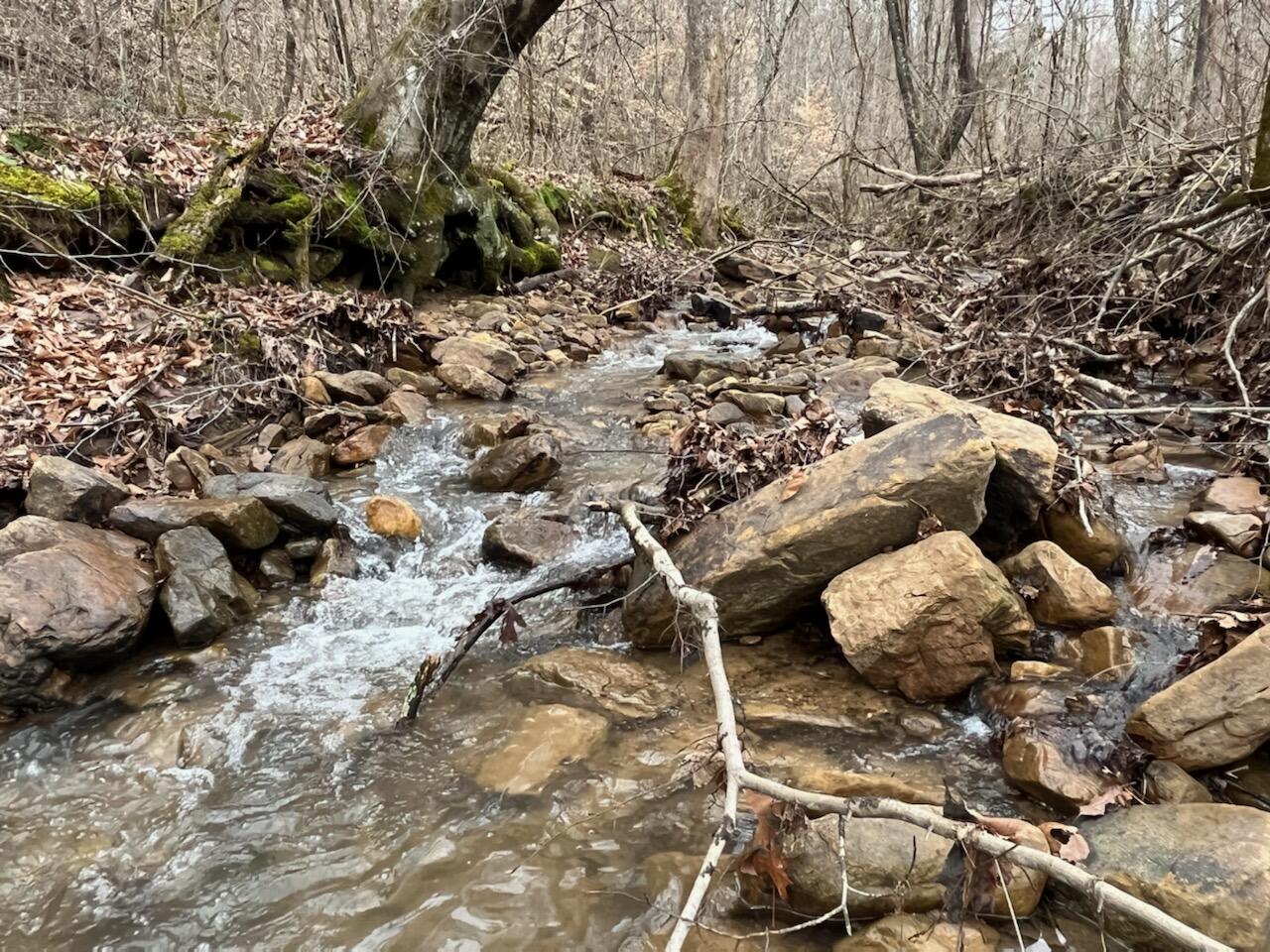 Tbd Wattenbarger Gap Road Greeneville, TN 37745 - Photo 12 of 31 IMG_1692