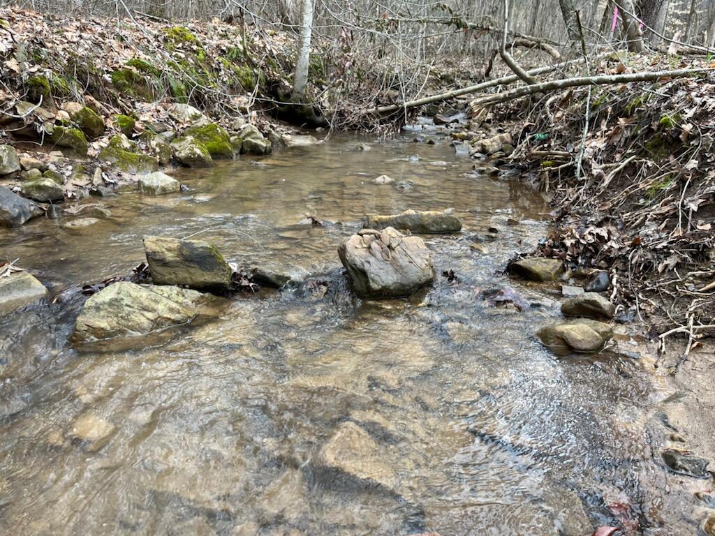 Tbd Wattenbarger Gap Road Greeneville, TN 37745 - Photo 13 of 31 IMG_1677