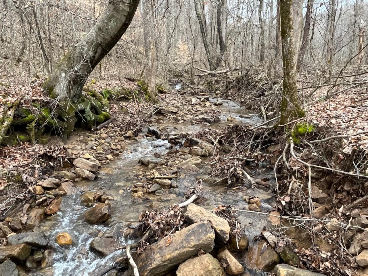 Tbd Wattenbarger Gap Road Greeneville, TN 37745 - Photo 14 of 31 IMG_1691