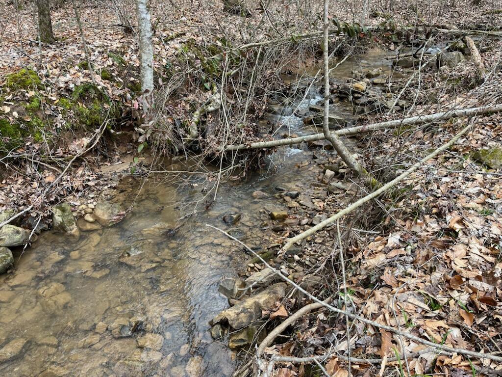 Tbd Wattenbarger Gap Road Greeneville, TN 37745 - Photo 15 of 31 IMG_1676