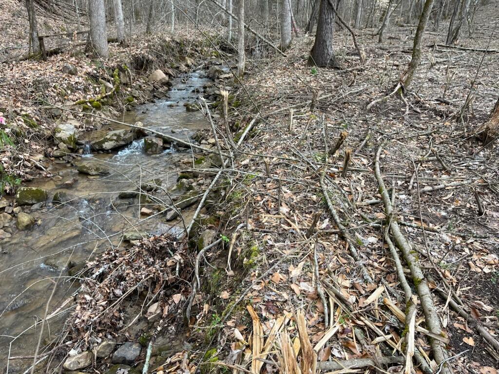 Tbd Wattenbarger Gap Road Greeneville, TN 37745 - Photo 16 of 31 IMG_1681