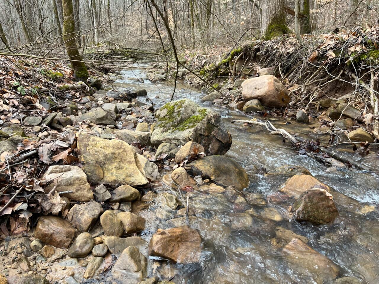 Tbd Wattenbarger Gap Road Greeneville, TN 37745 - Photo 17 of 31 IMG_1678