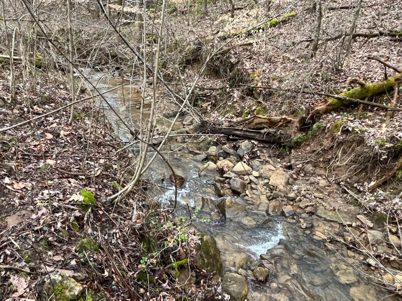 Tbd Wattenbarger Gap Road Greeneville, TN 37745 - Photo 18 of 31 IMG_1685