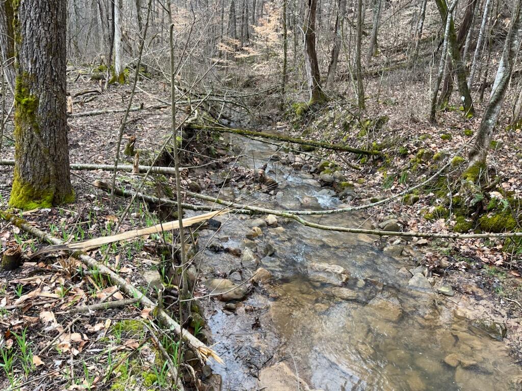 Tbd Wattenbarger Gap Road Greeneville, TN 37745 - Photo 19 of 31 IMG_1683
