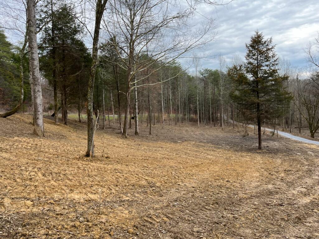 Tbd Wattenbarger Gap Road Greeneville, TN 37745 - Photo 2 of 31 IMG_1655