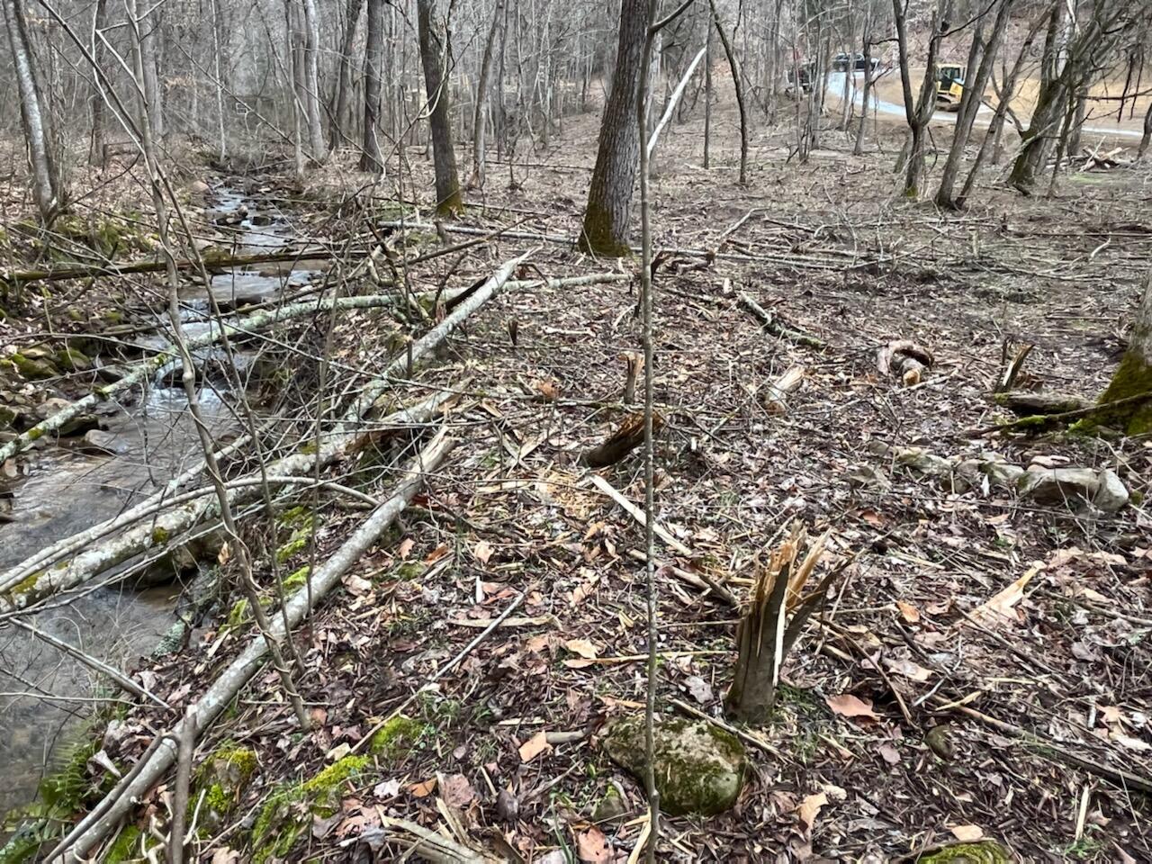 Tbd Wattenbarger Gap Road Greeneville, TN 37745 - Photo 21 of 31 IMG_1686