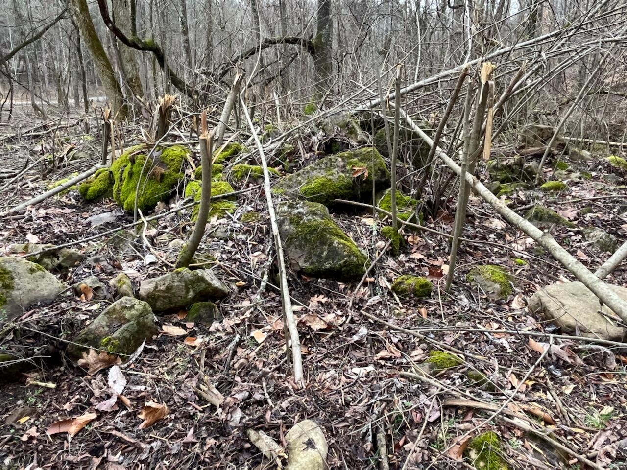 Tbd Wattenbarger Gap Road Greeneville, TN 37745 - Photo 22 of 31 IMG_1684