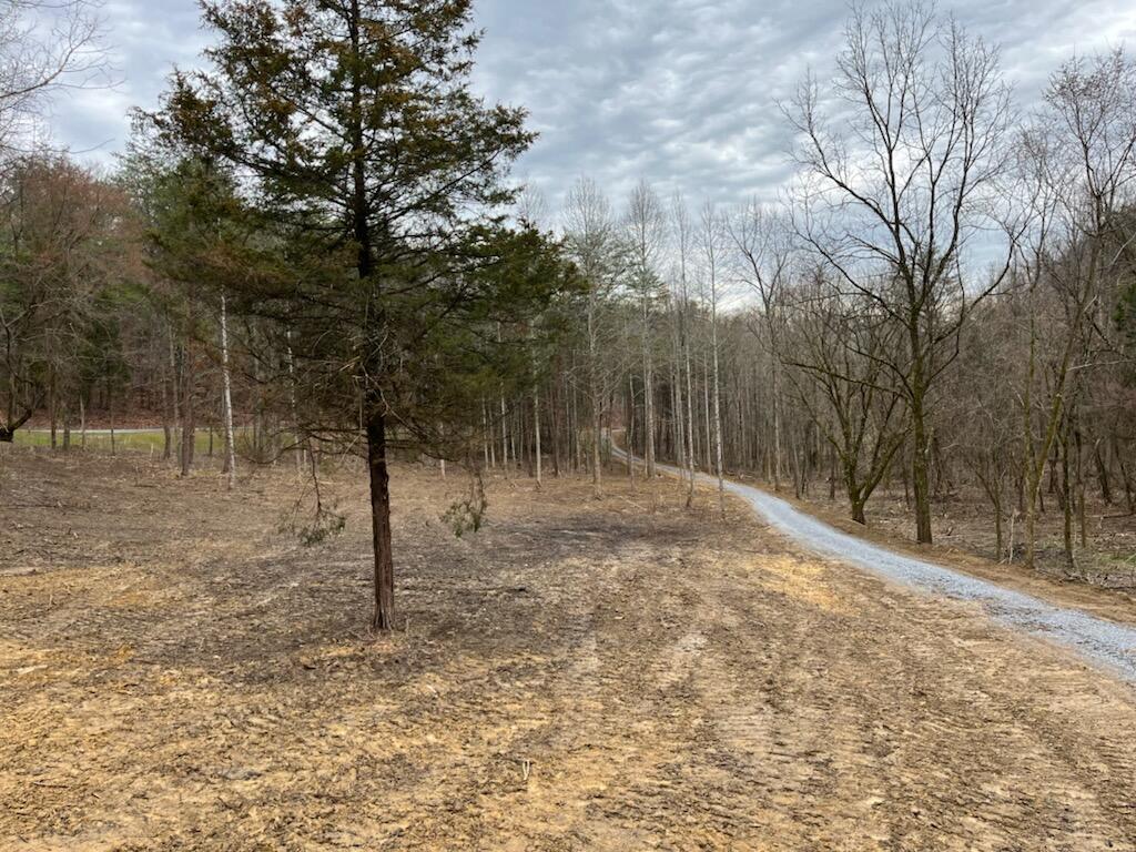 Tbd Wattenbarger Gap Road Greeneville, TN 37745 - Photo 23 of 31 IMG_1664