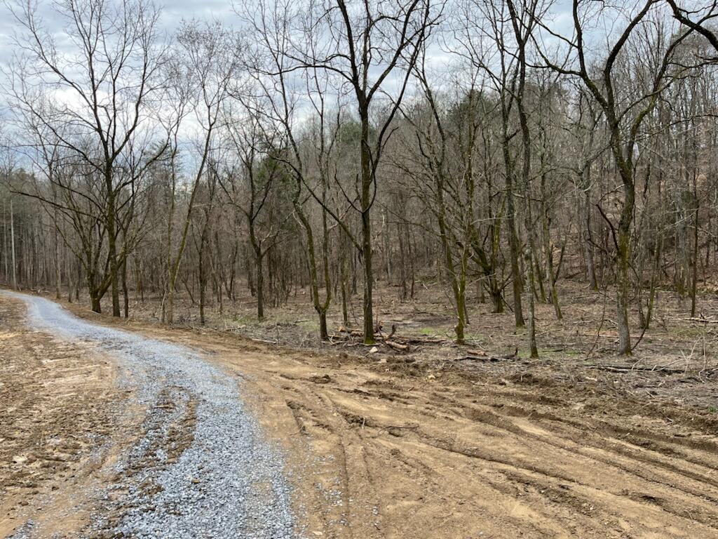 Tbd Wattenbarger Gap Road Greeneville, TN 37745 - Photo 26 of 31 IMG_1658