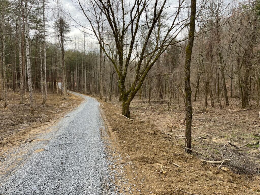 Tbd Wattenbarger Gap Road Greeneville, TN 37745 - Photo 27 of 31 IMG_1663