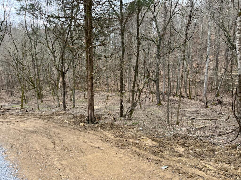 Tbd Wattenbarger Gap Road Greeneville, TN 37745 - Photo 28 of 31 IMG_1656