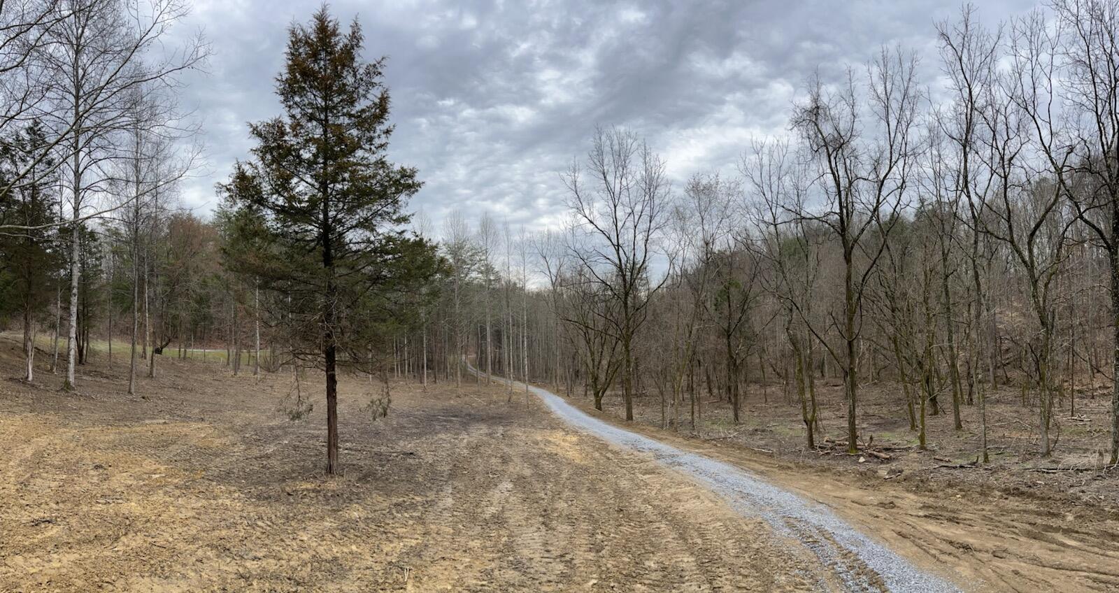 Tbd Wattenbarger Gap Road Greeneville, TN 37745 - Photo 29 of 31 IMG_1666