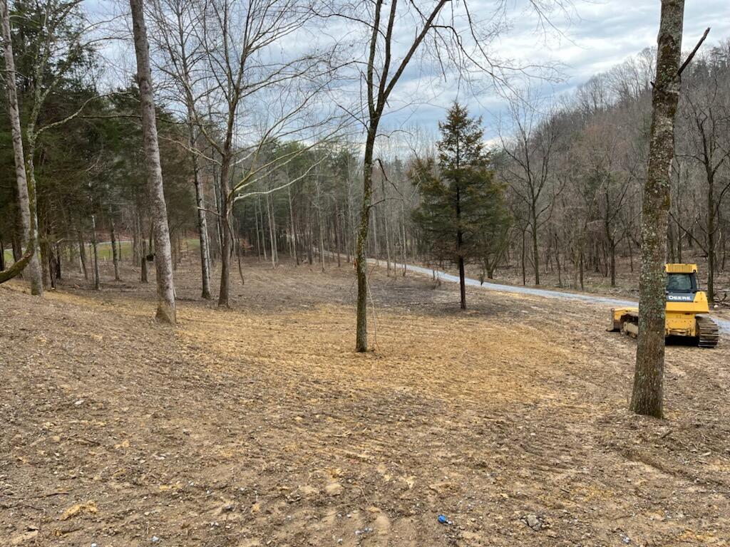 Tbd Wattenbarger Gap Road Greeneville, TN 37745 - Photo 30 of 31 IMG_1653