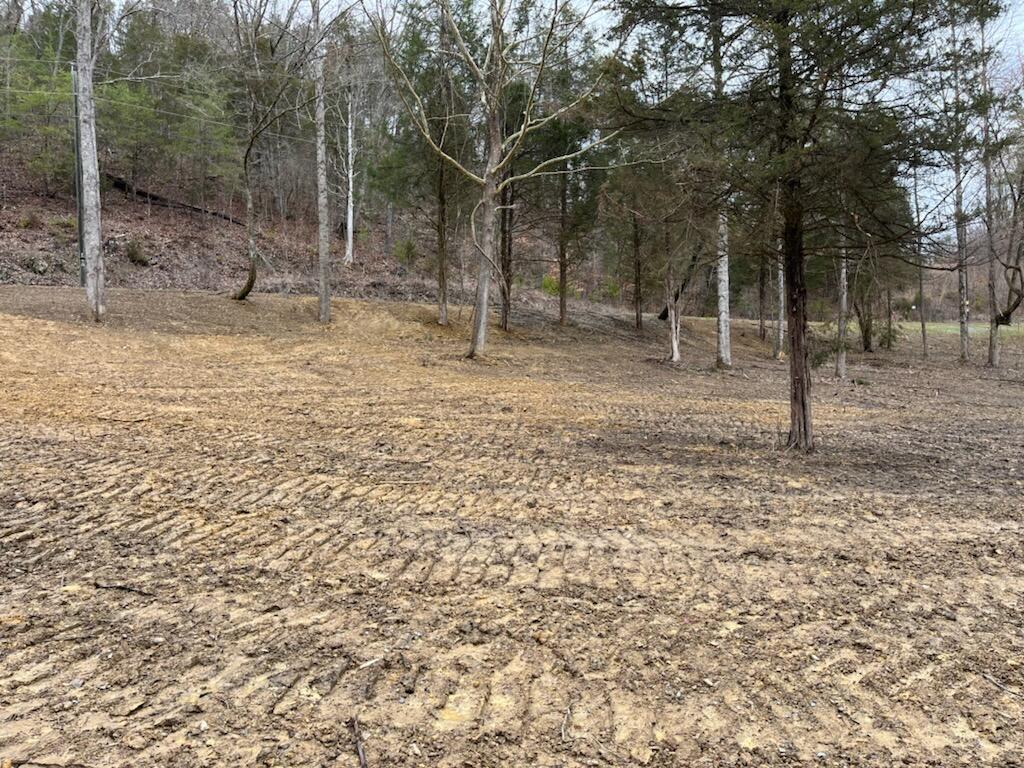 Tbd Wattenbarger Gap Road Greeneville, TN 37745 - Photo 3 of 31 IMG_1661