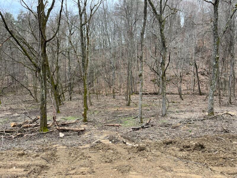 Tbd Wattenbarger Gap Road Greeneville, TN 37745 - Photo 4 of 31 IMG_1662