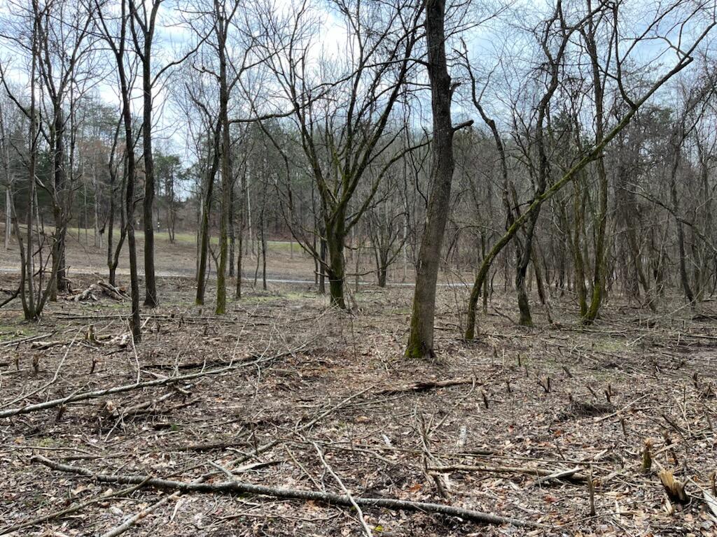 Tbd Wattenbarger Gap Road Greeneville, TN 37745 - Photo 5 of 31 IMG_1679