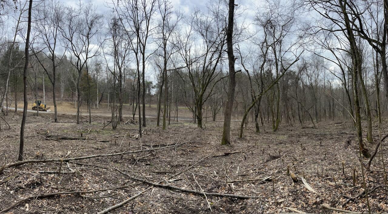 Tbd Wattenbarger Gap Road Greeneville, TN 37745 - Photo 6 of 31 IMG_1680