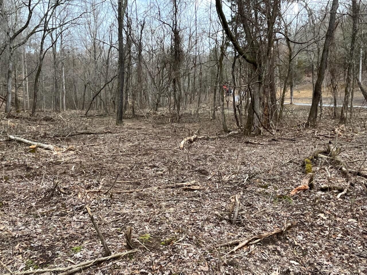 Tbd Wattenbarger Gap Road Greeneville, TN 37745 - Photo 8 of 31 IMG_1689