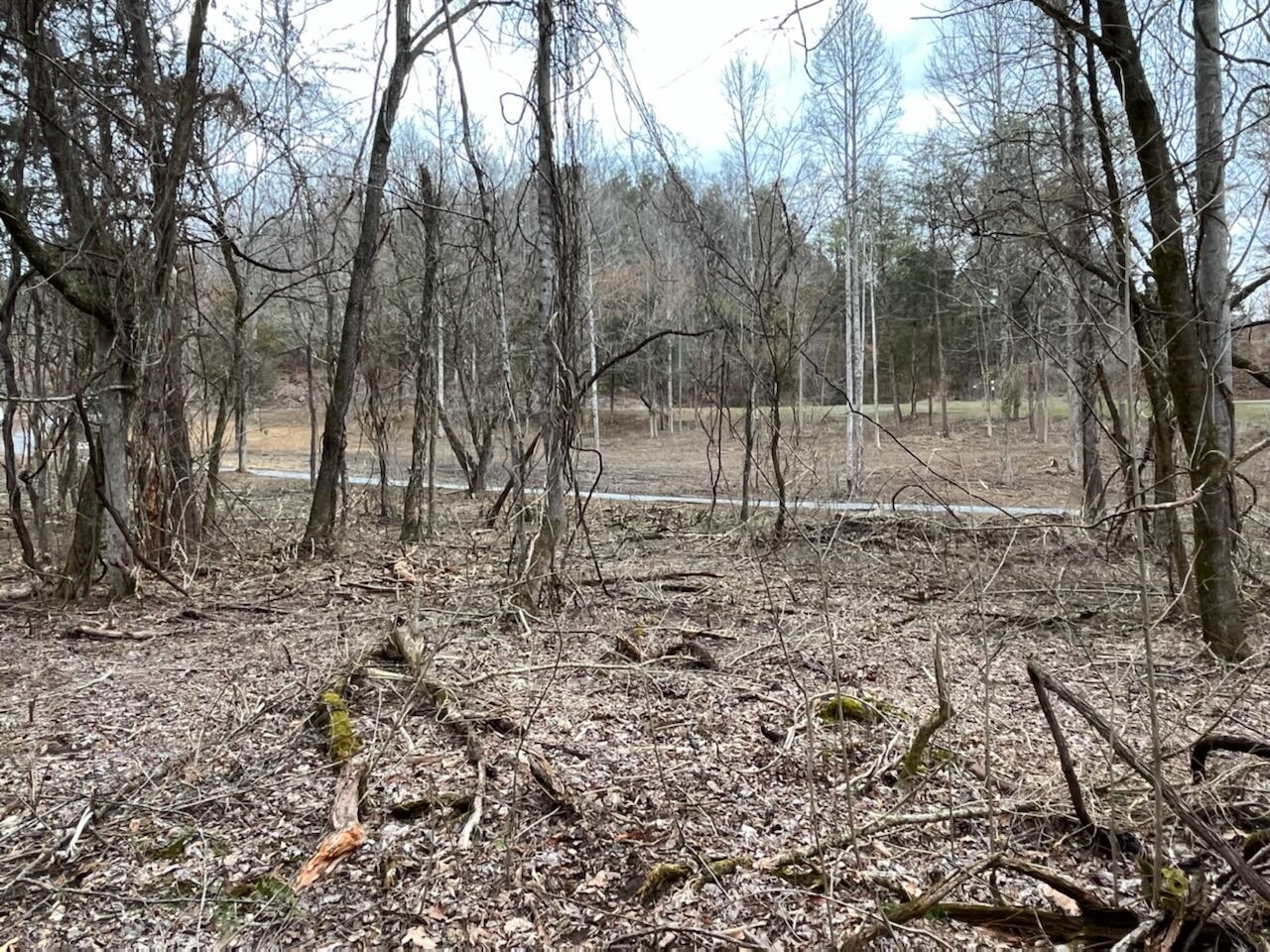 Tbd Wattenbarger Gap Road Greeneville, TN 37745 - Photo 9 of 31 IMG_1690