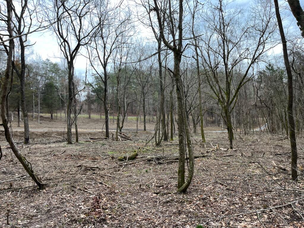 Tbd Wattenbarger Gap Road Greeneville, TN 37745 - Photo 10 of 31 IMG_1673
