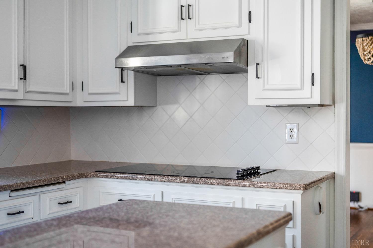 893 Turkey Foot Road Forest, VA 24551 - Photo 11 of 60