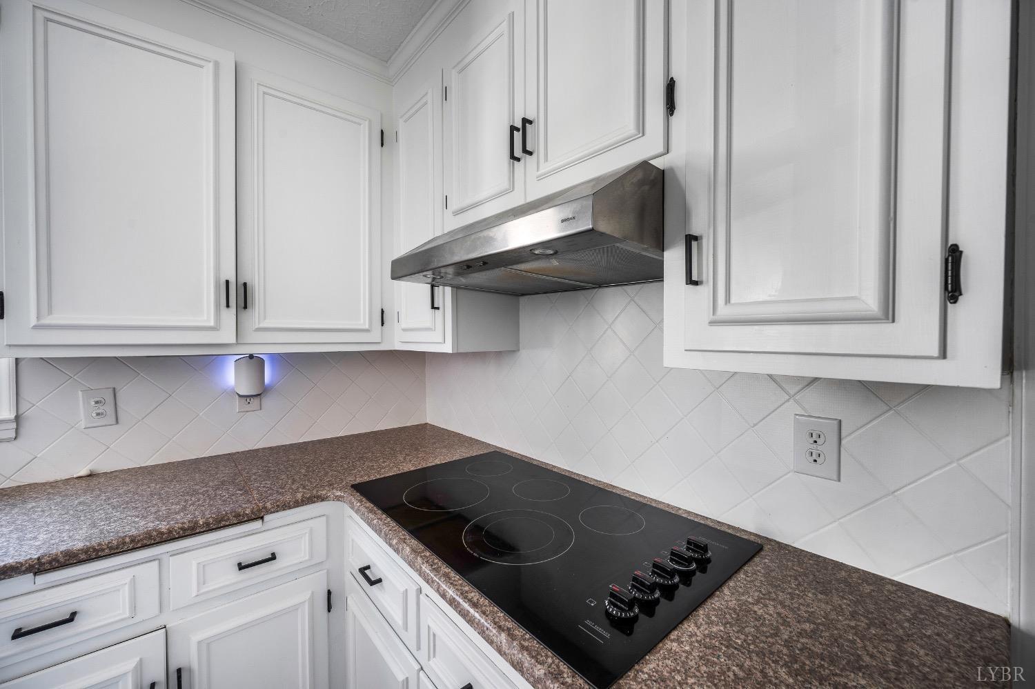 893 Turkey Foot Road Forest, VA 24551 - Photo 9 of 60