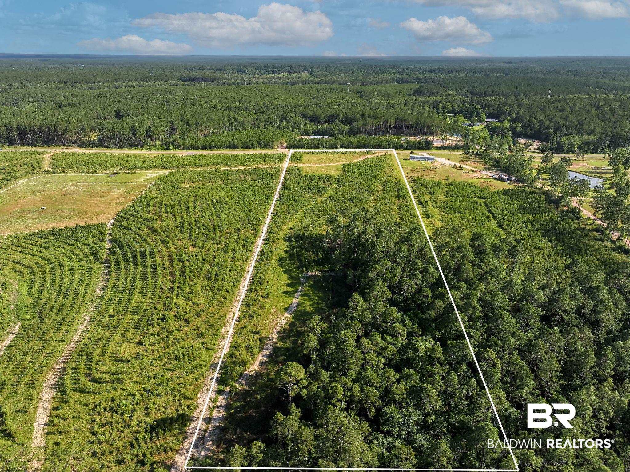 18689 Horseneck Road Bay Minette, AL 36507 - Photo 4 of 7