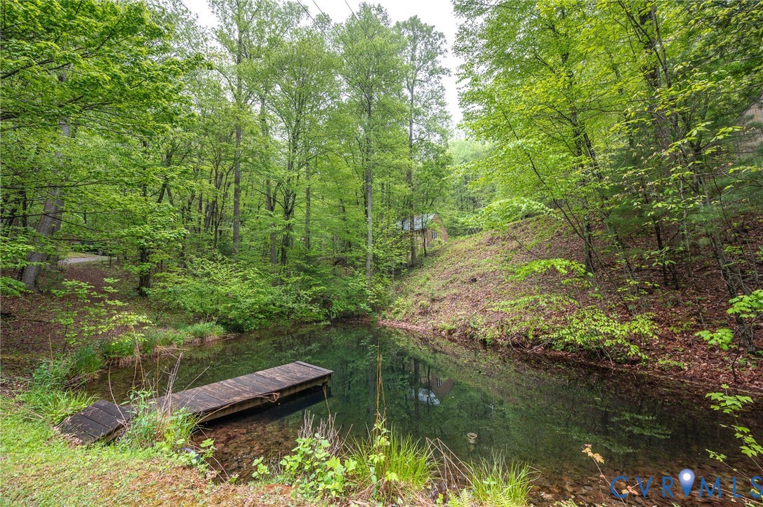 270 Little Cabin Road Amherst, VA 24521 - Photo 34 of 52 a view of a lush green forest with lots of trees