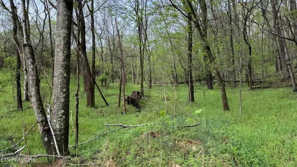 $100,000 | 0 Mary Lane, Rutledge, TN 37861