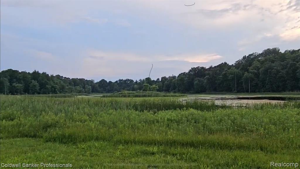 4331 Jones Road North Branch, MI 48461 - Photo 3 of 42 Gallery Image 3