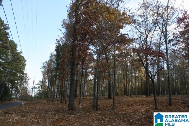 Peyton Place, Unit 3 Weaver, AL 36277 - Photo 27 of 40