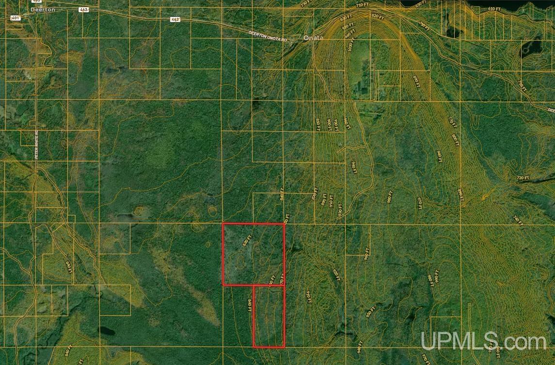 Tbd Billie Helmer Road Deerton, MI 49822 - Photo 14 of 20