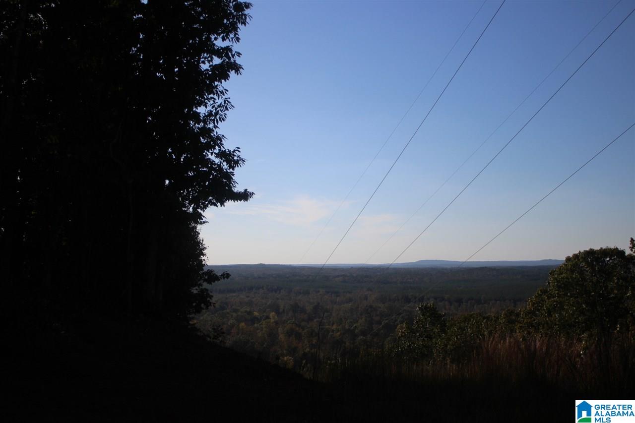 644 Washboard Road, Unit LOT 1 Columbiana, AL 35051 - Photo 9 of 9