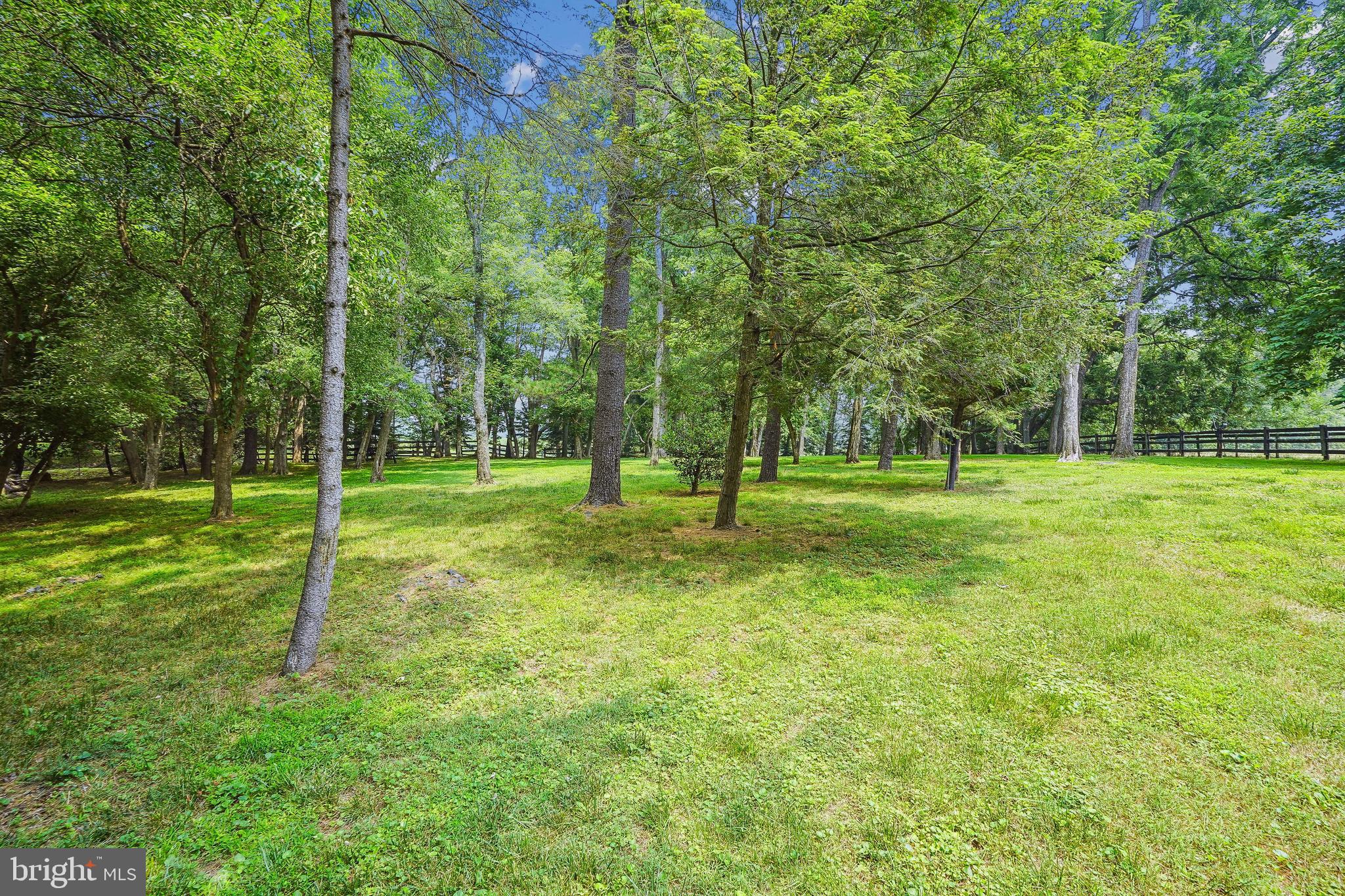 18285 Foundry Road Purcellville, VA 20132 - Photo 41 of 53 a backyard of a house with lots of green space and trees