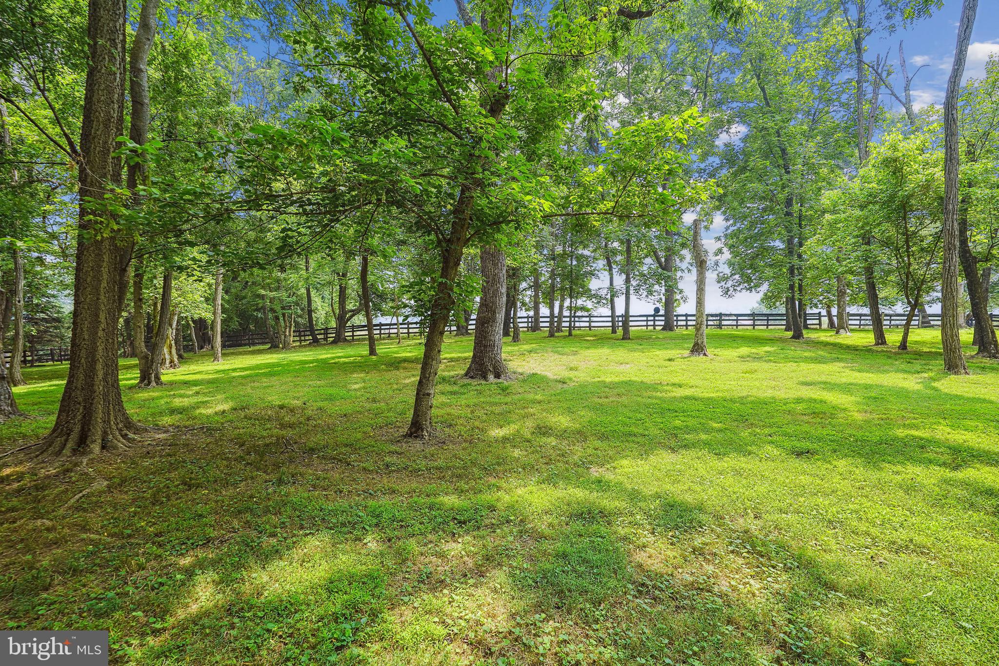 18285 Foundry Road Purcellville, VA 20132 - Photo 43 of 53 a view of a park with a tree in the background
