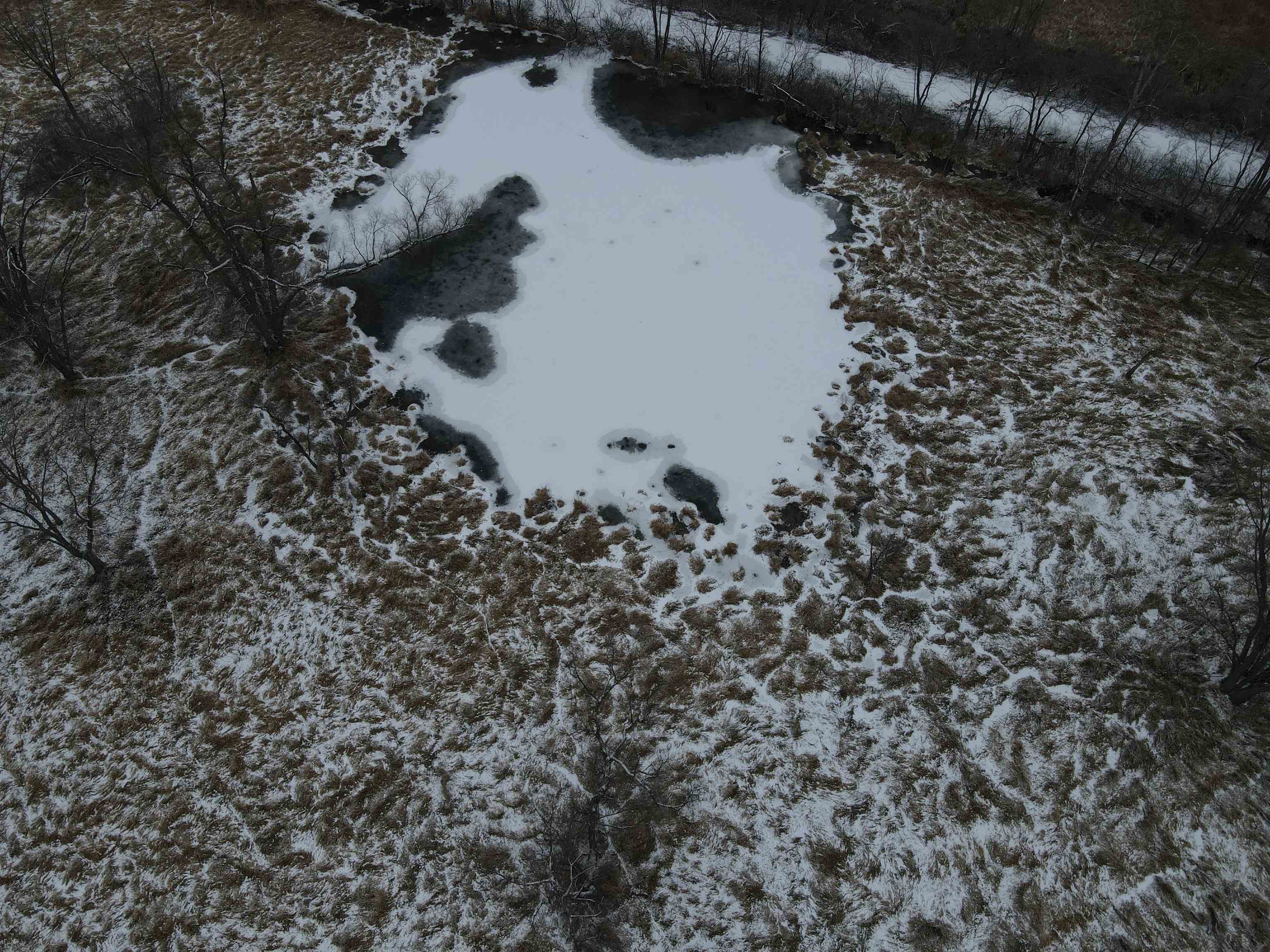 0 Beaver Road Freeport, IL 61032 - Photo 11 of 37 a picture of tree