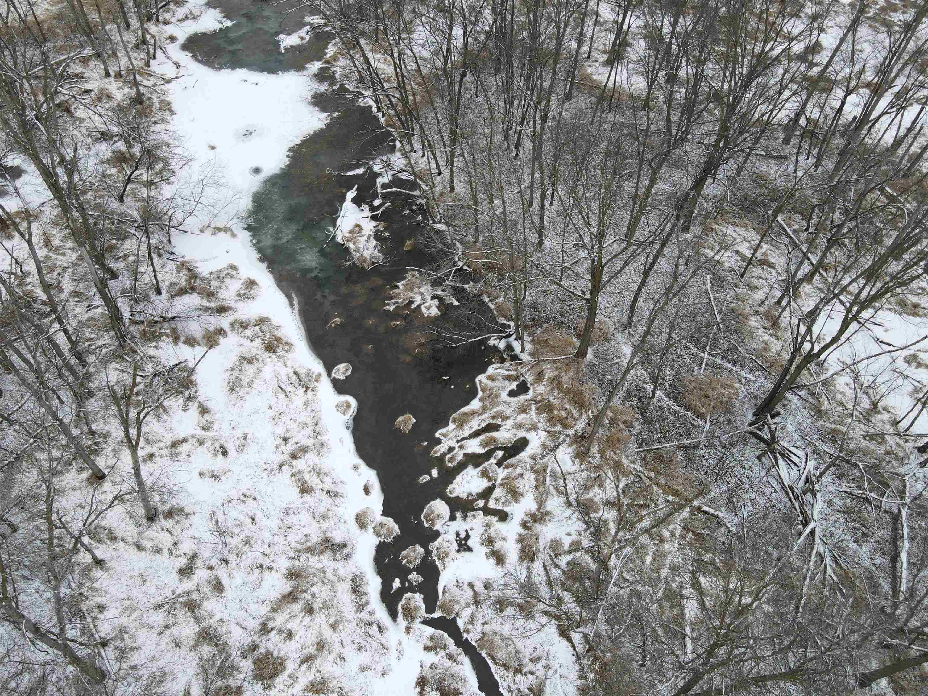 0 Beaver Road Freeport, IL 61032 - Photo 14 of 37 a picture of tree