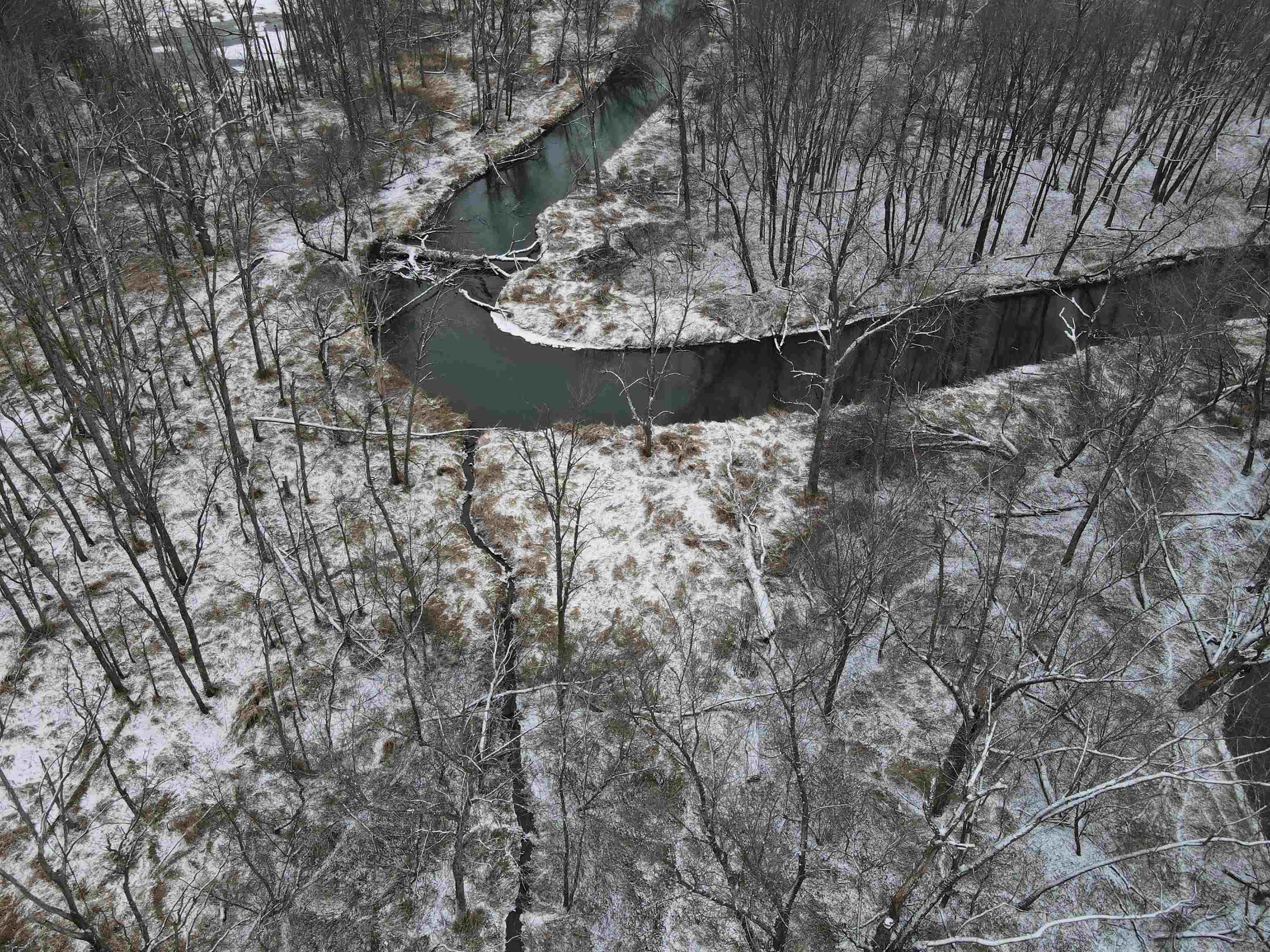 0 Beaver Road Freeport, IL 61032 - Photo 15 of 37 a view of a wooden door with a tree