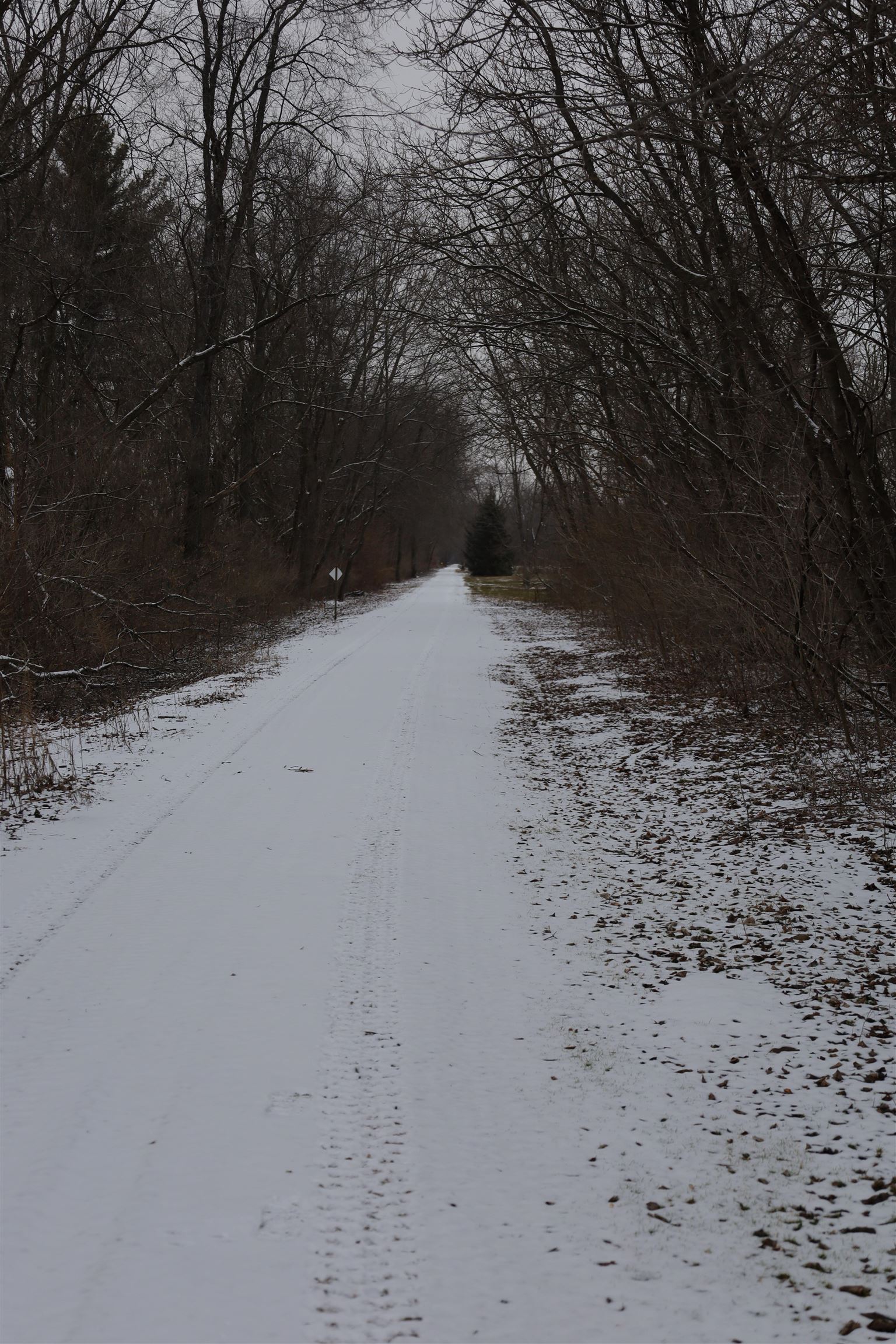 0 Beaver Road Freeport, IL 61032 - Photo 17 of 37 a view of a backyard of a house