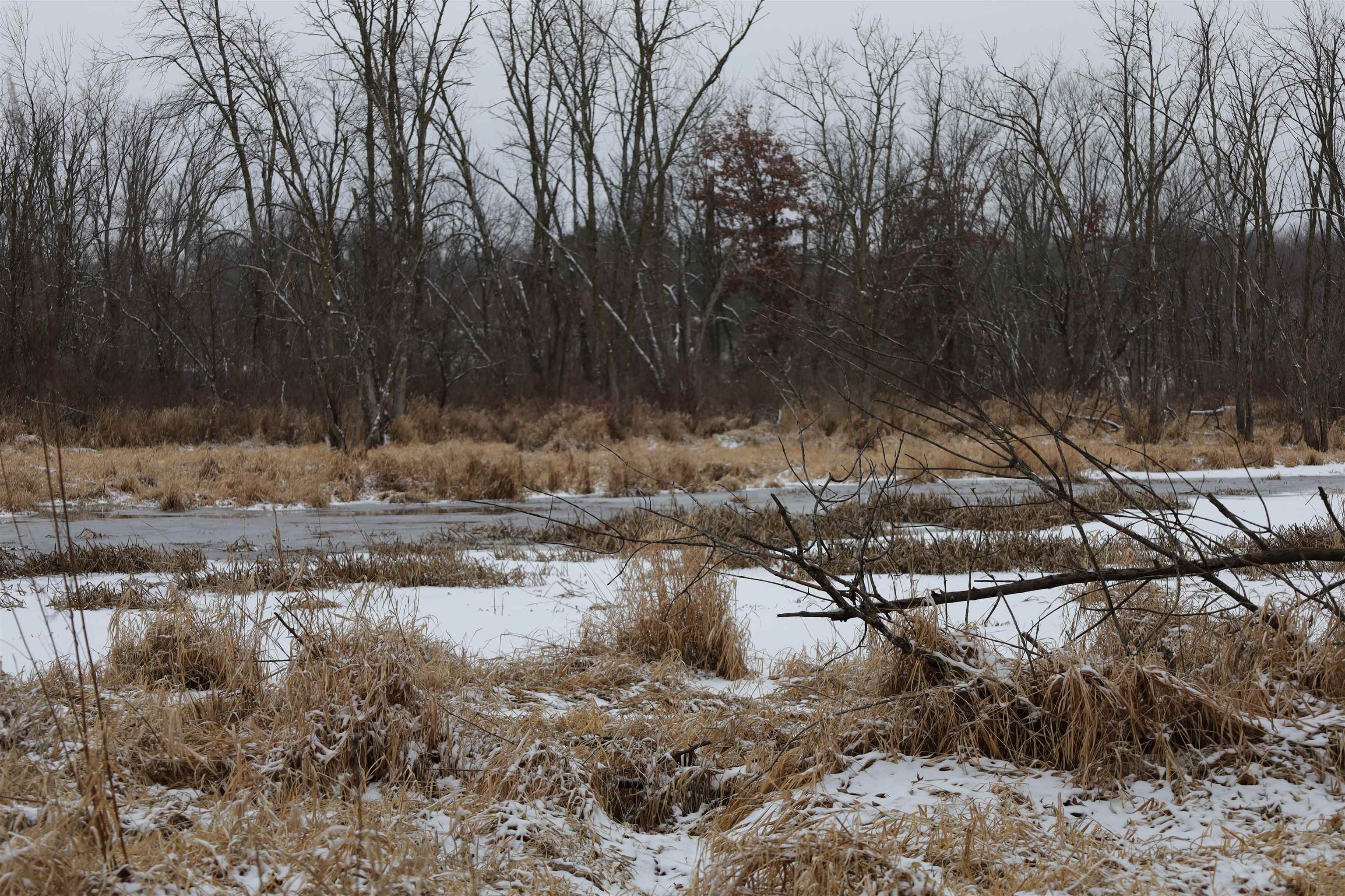 0 Beaver Road Freeport, IL 61032 - Photo 21 of 37