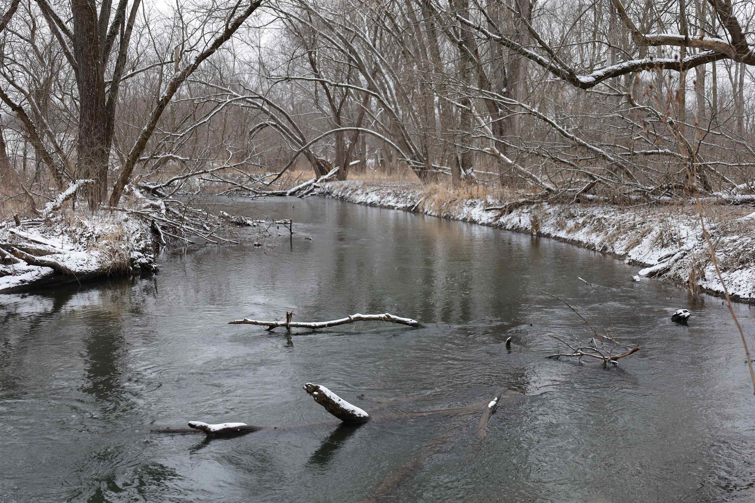 0 Beaver Road Freeport, IL 61032 - Photo 32 of 37 a view of a lake with a yard