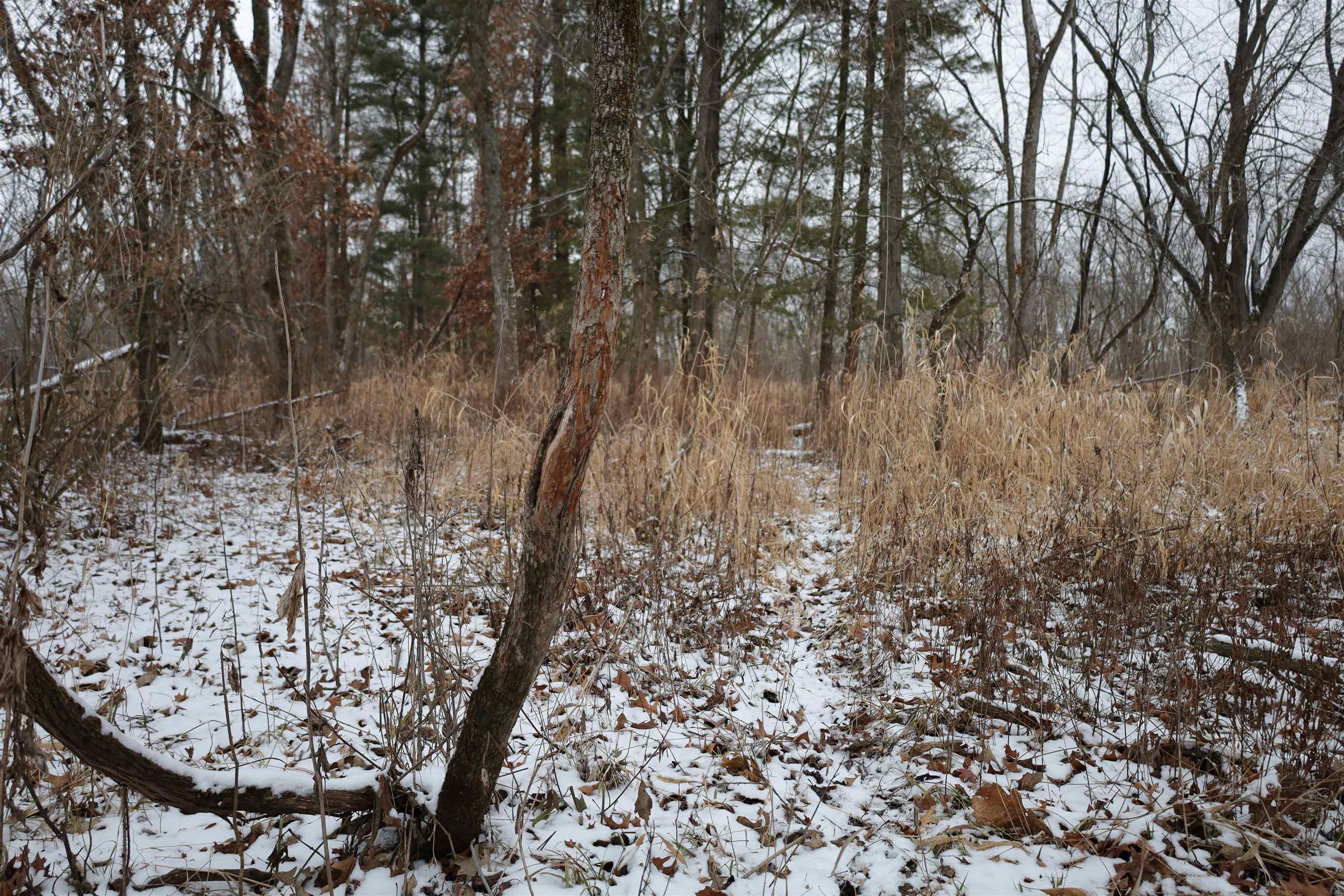 0 Beaver Road Freeport, IL 61032 - Photo 33 of 37 a view of a yard