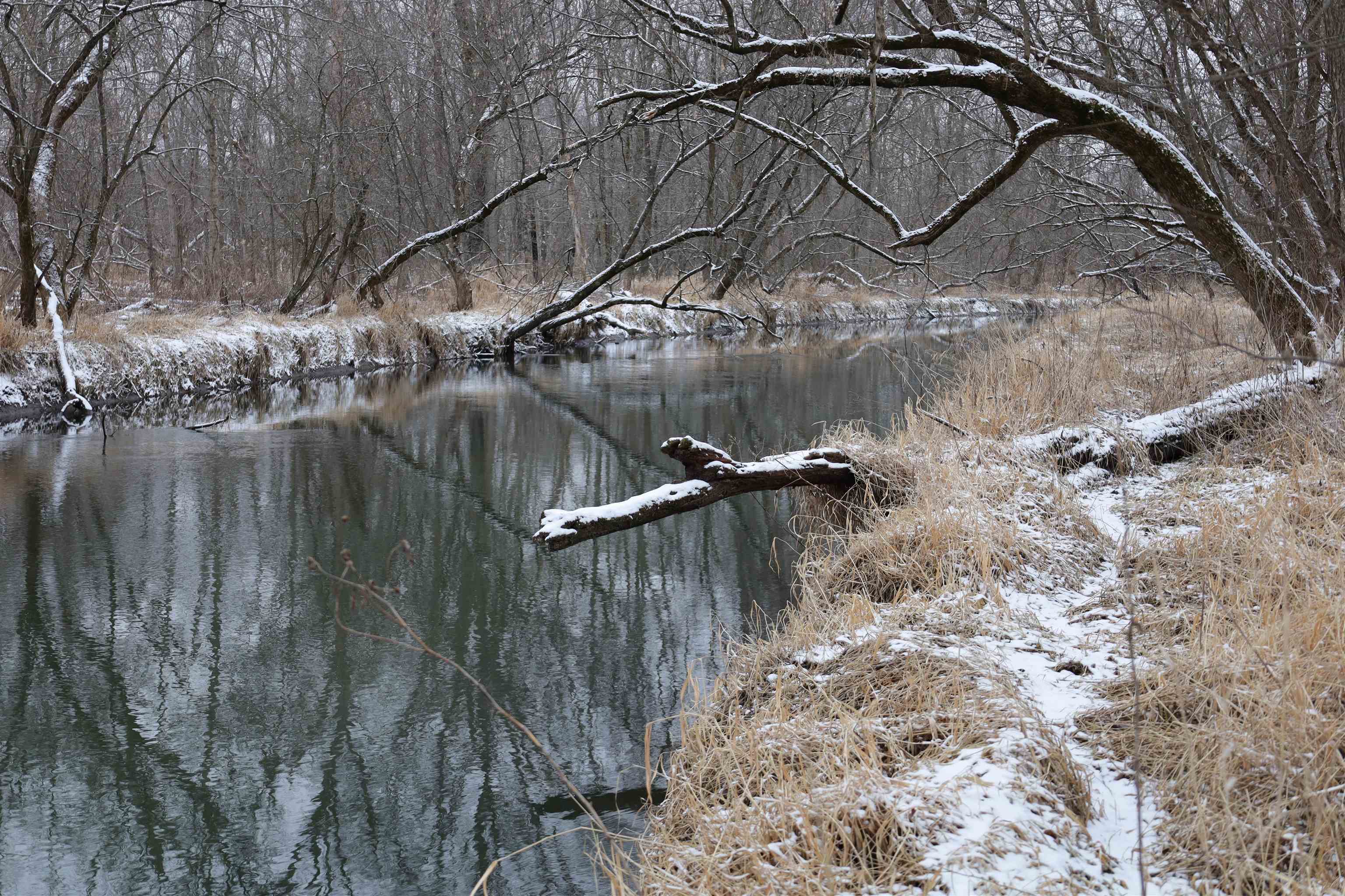 0 Beaver Road Freeport, IL 61032 - Photo 35 of 37 a view of a lake view
